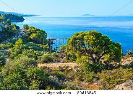 Morning Aegean Coast, Sithonia, Greece.