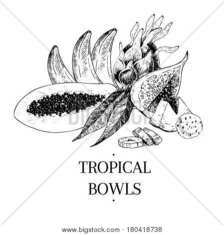 Vecotr hand drawn exotic fruits. Engraved smoothie bowl ingredients. Tropical sweet food. Papaya banana pitaya fig. Use for exotic restaurant food partty