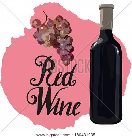 Bottle of red wine with hand drawn grapes and lettering red wine on wine stains. Vector. Watercolor imitation. Hand drawn.