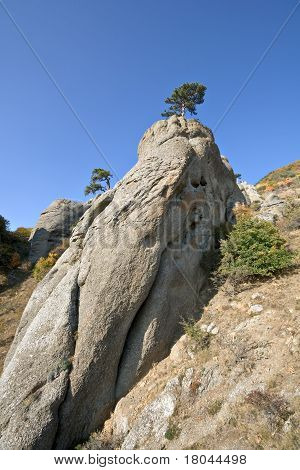 Pijler rock met boom, Crimea bergen.Landschap.