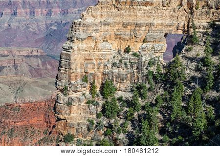 the scenic landscape of the grand canyon from the north rim