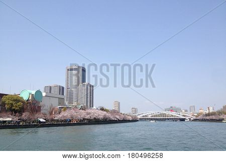View the river. Relaxation in Osaka Japan