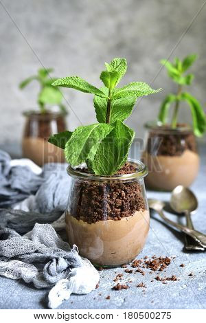 Pots With Chocolate Pudding,chocolate Ground And Plant - Creative Funny Dessert.