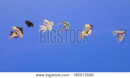 flight chain Kites in the Blue Sky