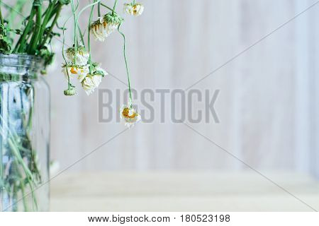 Side view of dry wild field chamomile flower bouquet in glass vase on a wooden backdrop to tea or alternative medicine concept