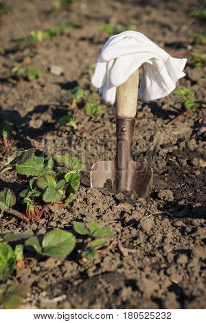Bushes Of Strawberries, Spade And Gloves