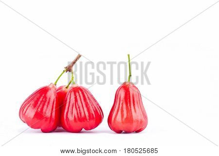 fresh red  rose apple   on white background healthy rose apple fruit food isolated