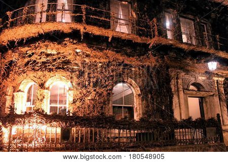 The Northern Club building covered in Virginia Creeper at night lit by exteriour lights in Auckland New Zealand 12.august 2010