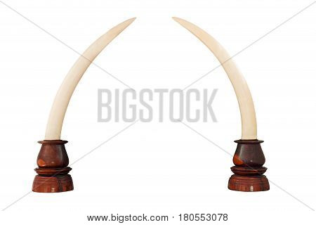 Elephant Ivory on Wooden Base with Clipping Path on White Background