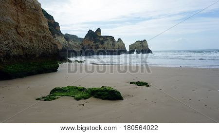 Rocks On The Beach