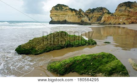 Rocks On The Beach