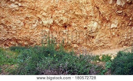 Rocks Of Prainha