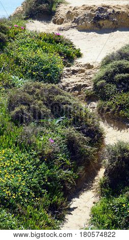 Green Coast
