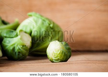 Fresh Brussels Cabbage Isolated