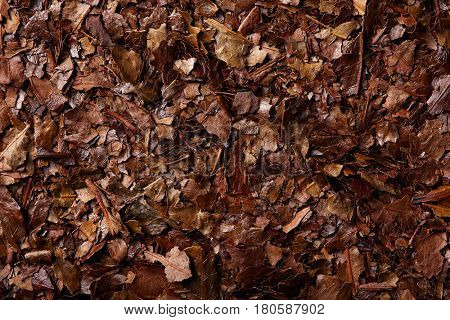 Bancha tea macro detail texture background