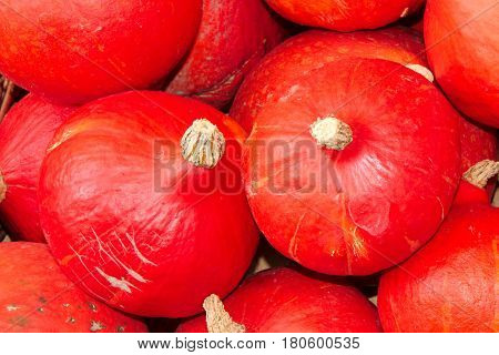 Several red hokkaido pumpkins in a market