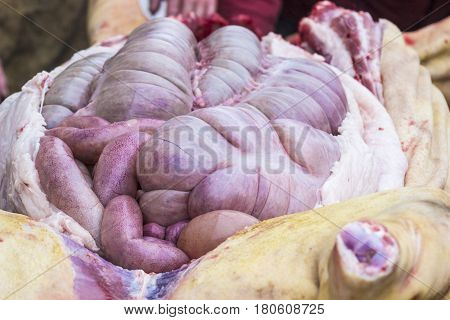 Guts inside a cut pig. Chitterlings raw
