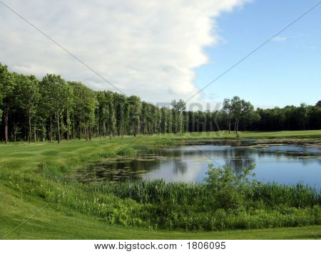 Forest Golf Course