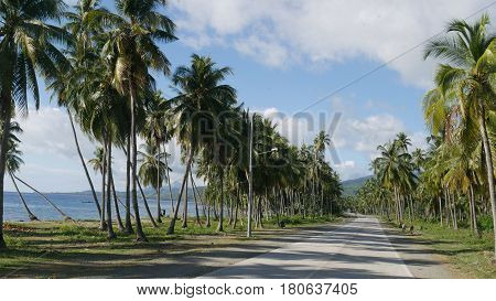 Scenic coastal roads of Davao Oriental, Philippines
The paved roads are bordered by towering coconut trees