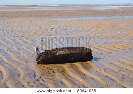 Riga Gulf coast near Vecaki Latvia. Coast at low tide