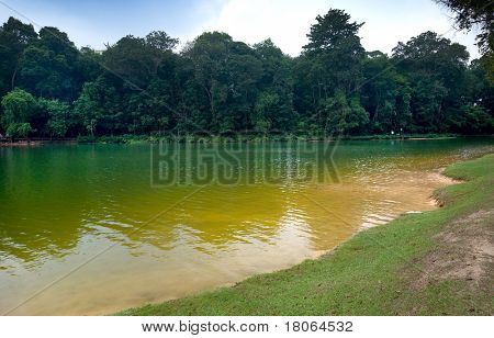 Parte do reservatório no Parque MacRitchie, Singapore