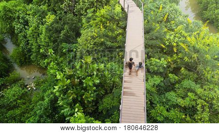 people of man and girl in top view walk at wooden sky walkway in forest with trees and river.(aerial forest view)