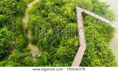 top view walk at wooden sky walkway in forest with trees and river at the morning sunrise.(aerial forest view)