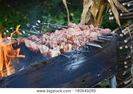 Barbecue recipes. Assorted delicious grilled meat shashlyk and skewered meat over the coals on a barbecue party.