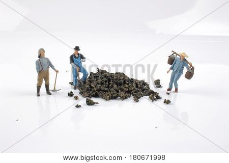 the mini ature worker work with tea