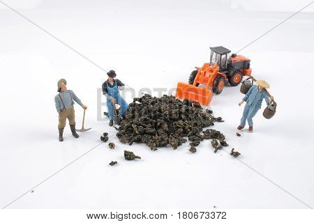 the mini ature worker work with tea