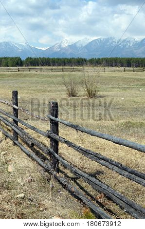 Spring Pasture In The Tunkinskaya Valley At The Foot Of The Sayan Mountains, Buryatia