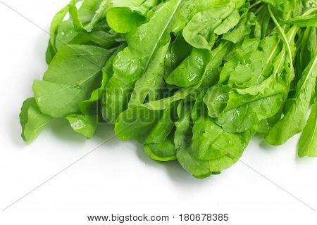 Fresh Arugula Leaves