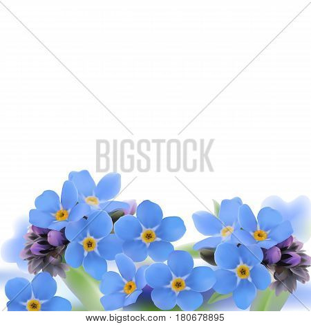 Forget-me-not. Myosotis.
Hand drawn vector illustration of blue spring flowers with yellow center on white background.