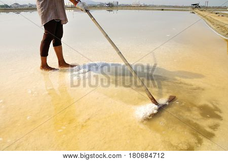 Salt Farm In Thailand, Asia