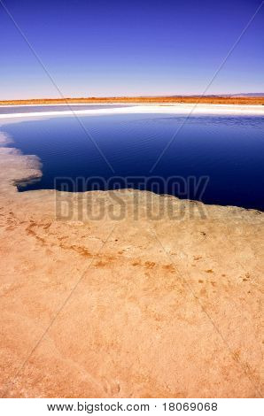 Salt Lake, deserto di Atacama, Cile