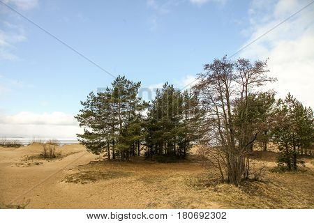 St. Petersburg, Sestroretsk-the coast of the Gulf of Finland in early spring