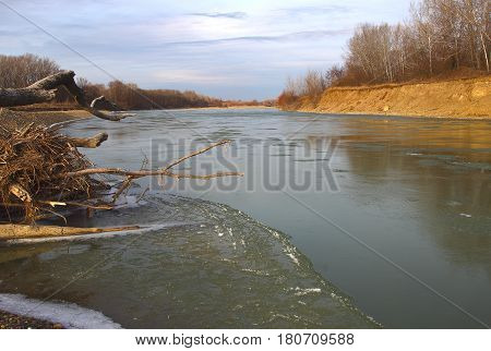 The Po River to coast of which the winter forest without foliage and also a snag from the sunk trees. In certain places on water ice was formed.