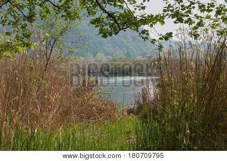 a scenic landscape of peatland in spring