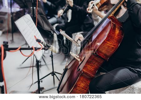 Musician Playing On Contrabass At Luxury Wedding Reception. String Quartet Performing At Expensive W