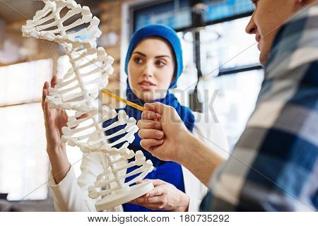 Sound foundation of knowledge. Pleasant smart international students learning genetics and studying DNA model while sitting at the table