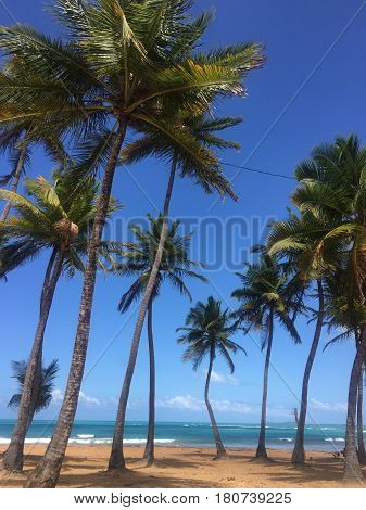 Balneario la Monserrate beach Luquillo, Puerto Rico
