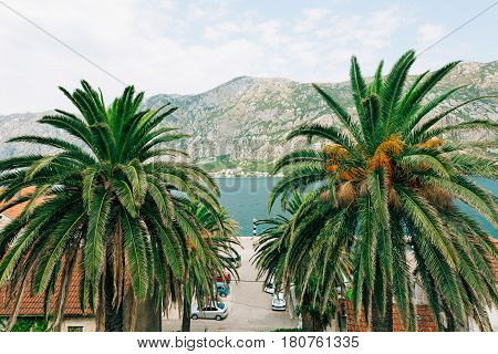 Prcanj, Montenegro, view from the Church of the Nativity of the Blessed Virgin.