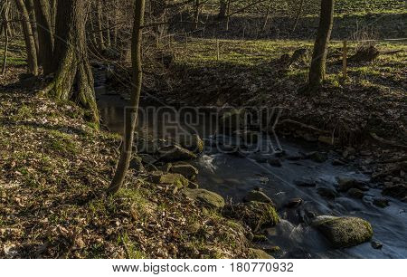 Probostovsky creek near Bynov village in spring dark sunny evening