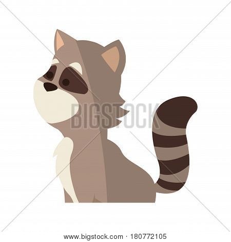 cute raccon animal, cartoon icon over white background. colorful design. vector illustration