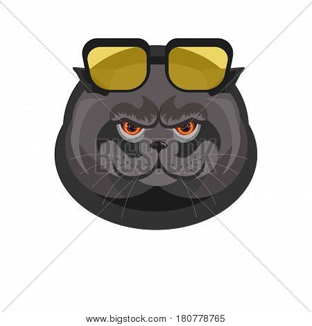 Black cat with sunglasses in dark frame portrait isolated on white. Vector colorful illustration in flat design of feline domestic animal head with red eyes and decorative spectacles on forehead