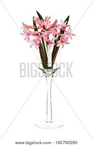 Floral composition made of hiacintus flowers. Flat lay, top view