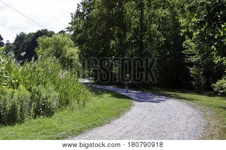 Lasalle, Quebec August 2, 2016 - Wide view from the back of a man walking along a path among the trees and foliage in Angringnon Park, Lasalle, Quebec on a sunny day at the beginning of August.