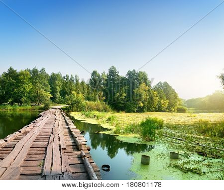 Bridge over a swampy river on sunrise