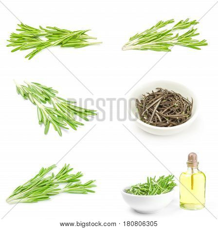 Collage of rosemarie isolated on a white background cutout