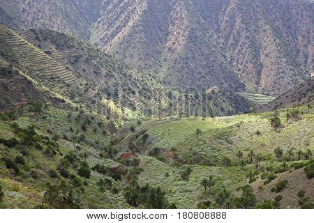 LA GOMERA, SPAIN: Mountainous and green landscape with terraced fields between Agulo and Vallehermoso